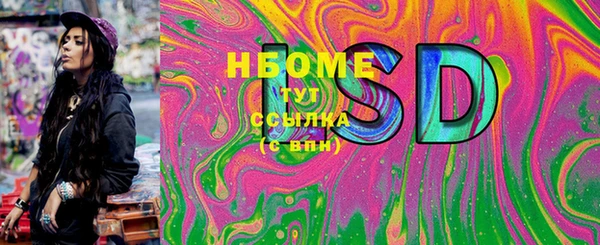 прущие грибы Лабытнанги