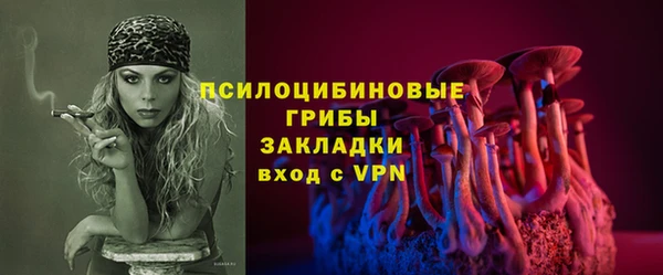 таблы Ладушкин