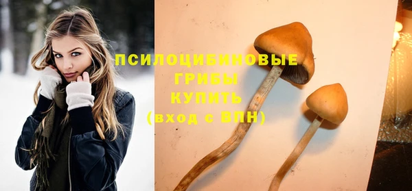 прущие грибы Лабытнанги