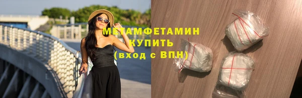 прущие грибы Лабытнанги