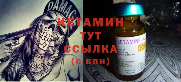 прущие грибы Лабытнанги