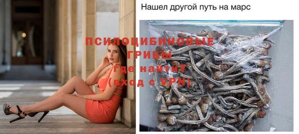 прущие грибы Лабытнанги