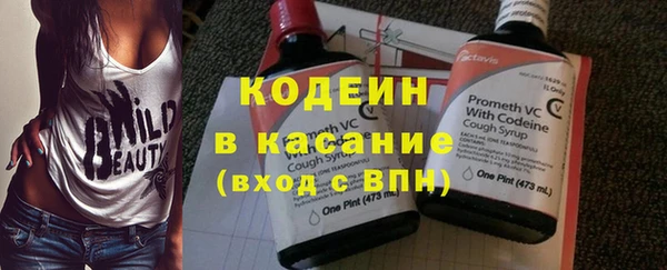 прущие грибы Лабытнанги