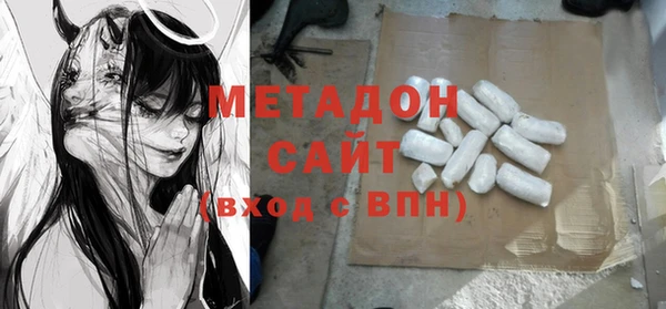 прущие грибы Лабытнанги