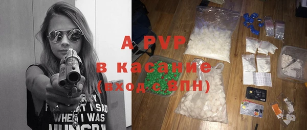 прущие грибы Лабытнанги