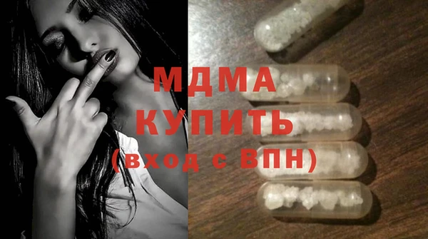 прущие грибы Лабытнанги