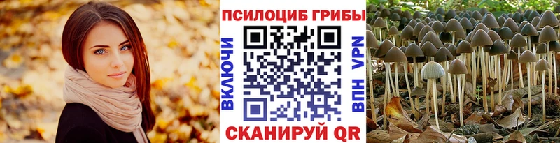 Галлюциногенные грибы прущие грибы  Купить где  Курганинск 